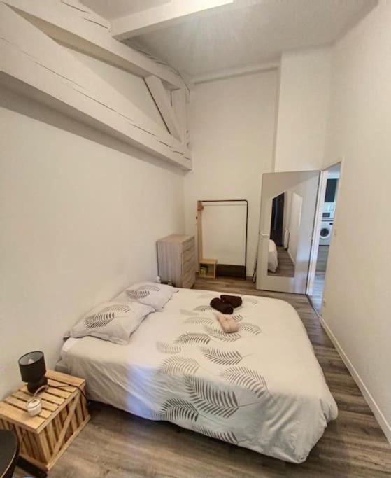 Le Charme De La Bastide - Proche Cite Apartment Carcassonne Ngoại thất bức ảnh